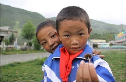 �ɂ�(g��)�W(xu��)���������(f��)����W(xu��)��֧���(du��)�T�����_(d��)�Ѻã��f��һֻСĢ�����挦(du��)�㌍(sh��)�ĺ��ӂ���֧���(du��)�T������ϣ���ǡ��������҂���ʣ��҂��������S��(sh��)����