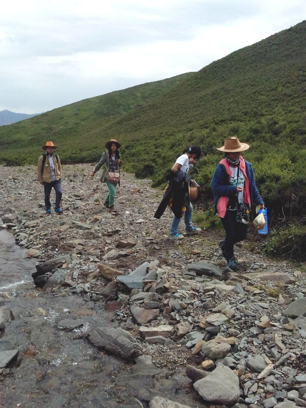 7��22�գ��m�ݴ�W�Gɫ�I�F꠹������c���򌍵��{�С�꠆T�������ص��������f�ֲ����݈���r������ι�B(y��ng)���h(hu��n)��׃���ȷ����M���˴��µ��˽����D��꠆T���ڮ����M��ֲ����R������