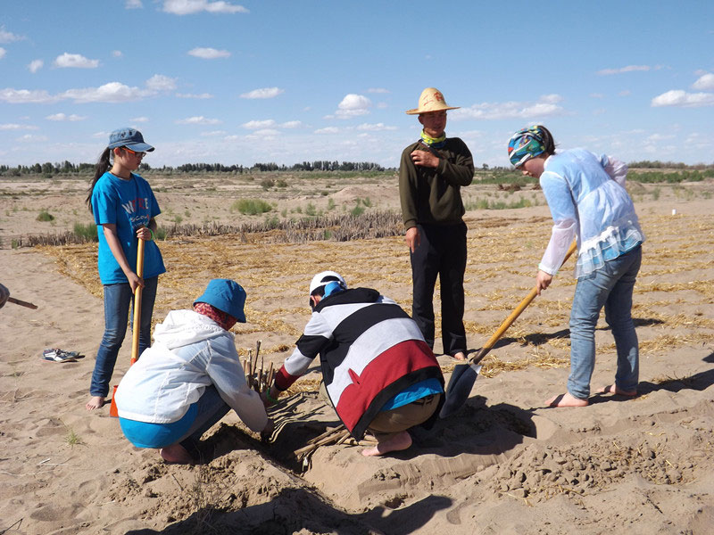 �@�N1.5��Ҋ(ji��n)�������ݸ��ӣ���ɳЧ����á����^(gu��)4��5���͕�(hu��)�L(f��ng)�g��������Ҫ�����a(b��)����