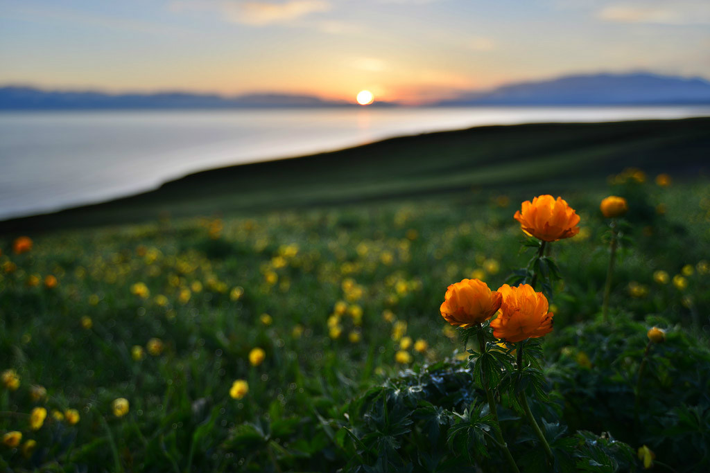 ��������l(xi��ng)�ĸ����