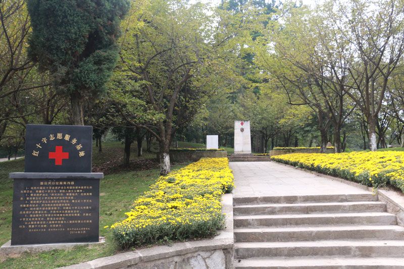 �Ї��tʮ�֕�(hu��)���o(h��)���(du��)�D���P(gu��n)