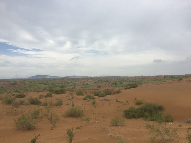 �v����ɳĮ�޾W(w��ng)������ݷ����ﲼ�M�[�d��ɳ��ֲ����