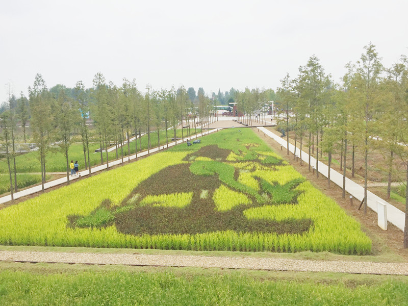 ������L�������������zӰ����־�ۣ�