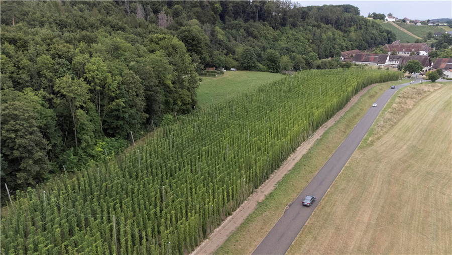 ��ʿ��˹�����l(xi��ng)�徰�^����