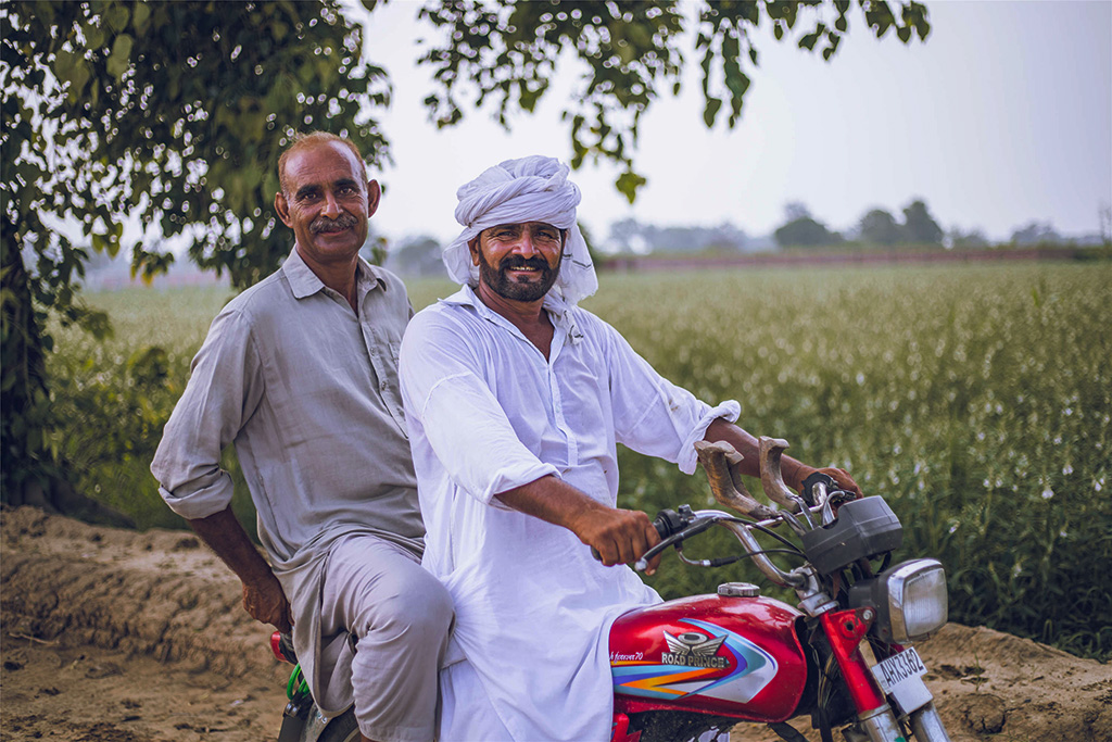 芝麻種植基地給當?shù)厝藥砀嗑蜆I(yè)機會。（人民網(wǎng)記者 薛丹攝）