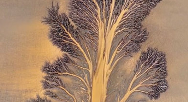 大自然的杰作！錢(qián)塘江又現(xiàn)“潮汐樹(shù)”