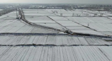 寒潮之下，晚播的冬小麥?zhǔn)苡绊憜幔?/></a></span><a  target=_blank>寒潮之下，晚播的冬小麥?zhǔn)苡绊憜幔?/a></li>

			</ul>
		</div>
	</div>
    <div   id=