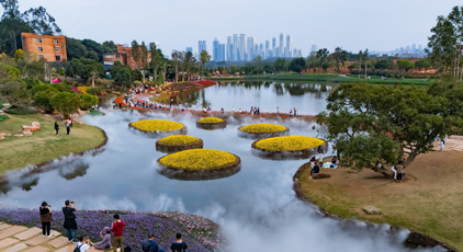 廣西南寧：踏青賞花 樂(lè)享假日